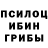 Галлюциногенные грибы Psilocybine cubensis Robby U.