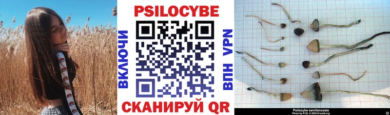 Галлюциногенные грибы ЛСД  закладки  mega сайт  Сафоново 