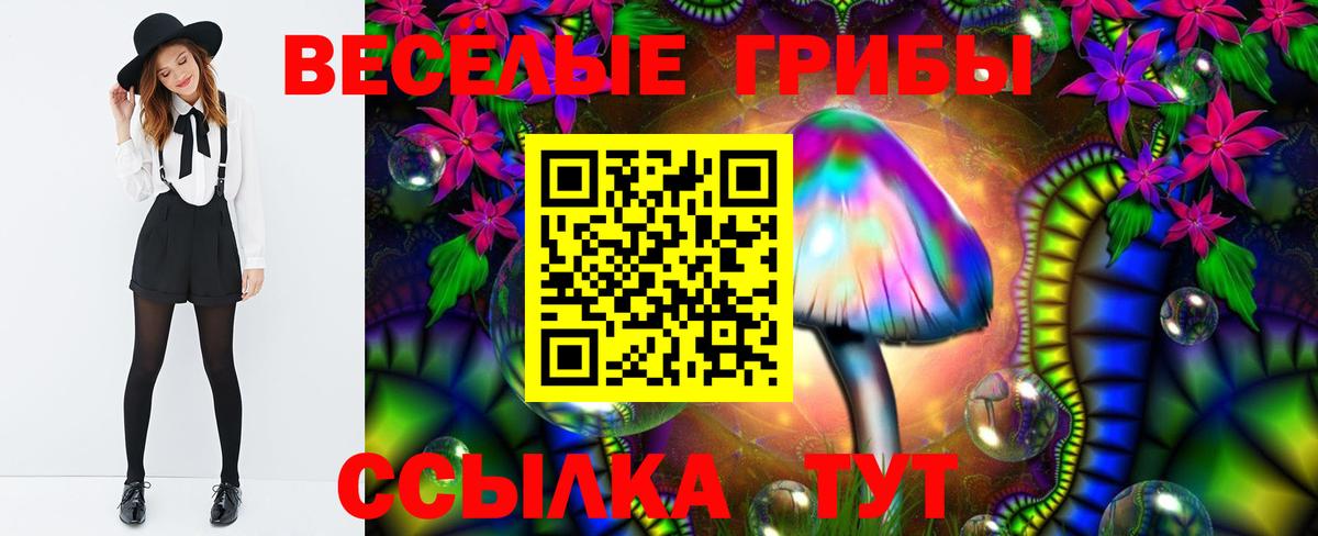 Псилоцибиновые грибы MAGIC MUSHROOMS Сафоново