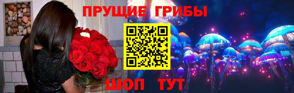где купить наркоту  Псилоцибиновые грибы ЛСД  Вход с VPN  Сафоново 